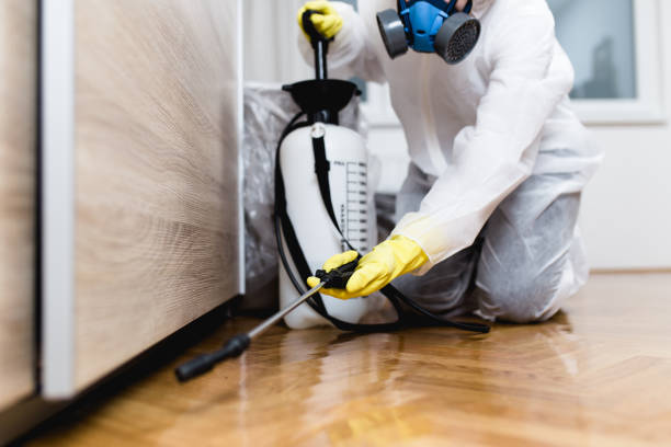Best Mosquito Control Services  in Penn Yan, NY