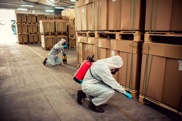 Best Pest Prevention Services  in Penn Yan, NY