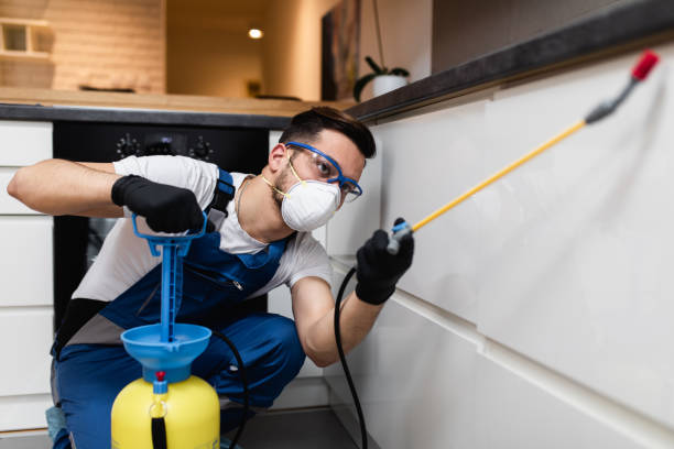 Best Wasp Removal Services  in Penn Yan, NY