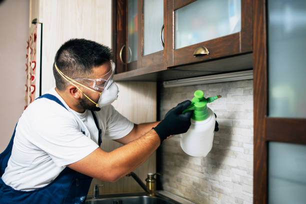 Trusted Penn Yan, NY Pest Control Experts