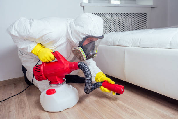 Best Best Pest Control Companies  in Penn Yan, NY