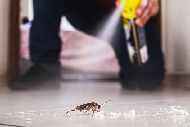Best Pest Prevention Services  in Penn Yan, NY