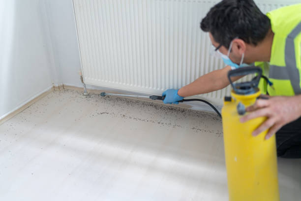 Best Local Pest Control Services  in Penn Yan, NY